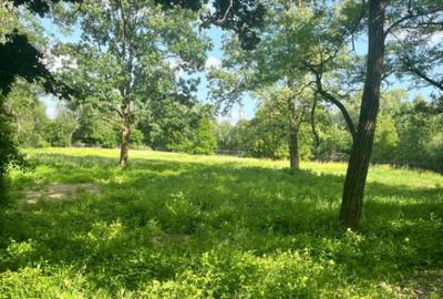 Teren extravilan, 10000 mp, Vicovu de Sus - 14