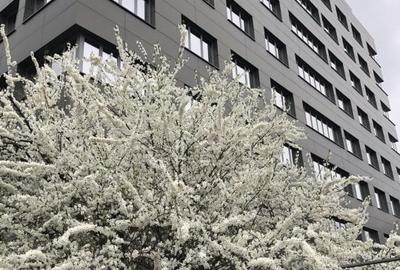 Spatiu comercial si   birouri intersectie Timpuri Noi, suprafata  250mp+terasa,