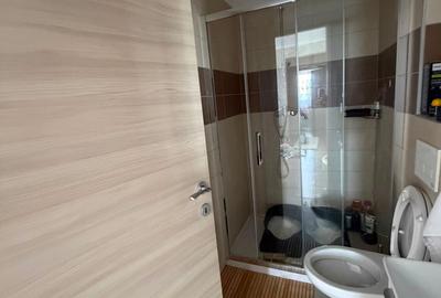 Apartament cu 3 camere decomandat în Prelungirea Ghencea - 19