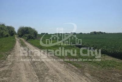 Teren de 526 mp, în Cornetu - 1