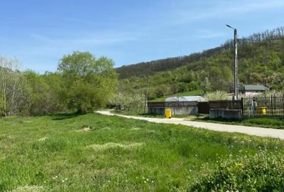 Teren de 500 mp, în Leamna de Sus - 4