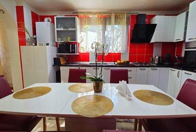 Vila ta aproape de natura – 8 camere, Lacul Pasarea - 33