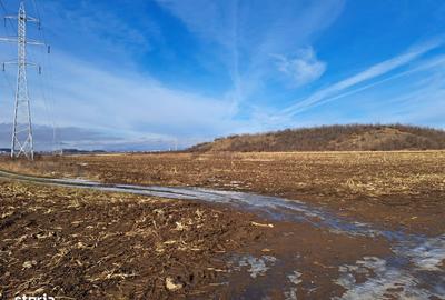 Teren de 3500 mp, în Movilei - 2