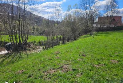 Teren de 2000 mp, în Valea Doftanei