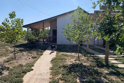 Casă cu 2 camere cu Teren 1250 Mp în Cămineasca - 6
