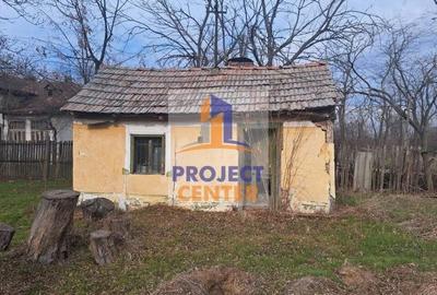 Gospodarie taraneasca in Rociu, Arges - 3