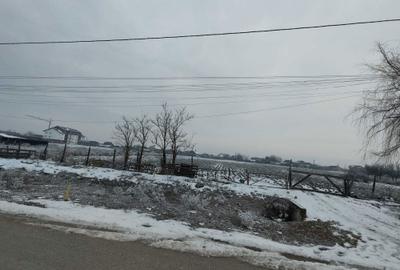 Spațiu comercial, în Socodor - 3