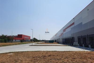 Spatiu Industrial - 5300 mp - Logistica - Productie - Depozitare - Distributie - 4
