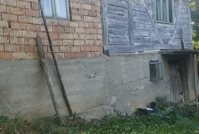 Casă cu 2 camere în Bratca - 3