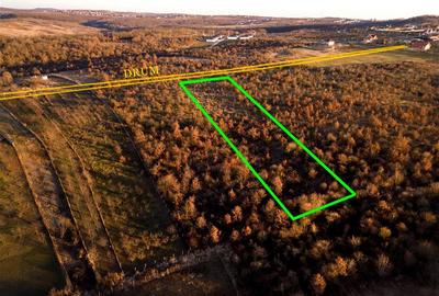 Teren intravilan de 5305 mp, în Paleu - 2