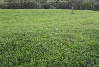 Teren de 4039 mp, în Borhanci - 4