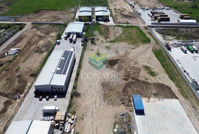 Teren Construcții intravilan de 2211 mp, în Cernica - 3
