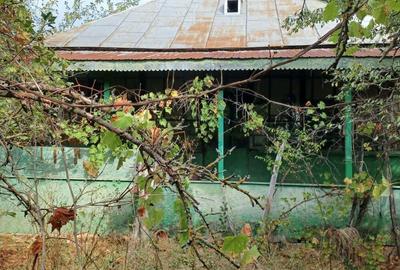 Casă cu 2 camere cu Teren 3000 Mp în Diculești - 9