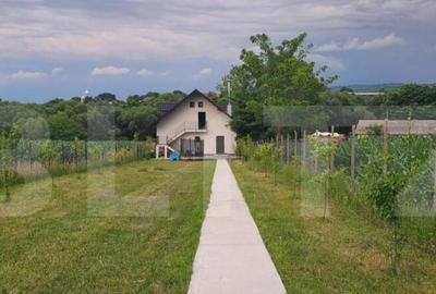 Casă cu 4 camere cu Teren 1900 Mp în Central - 11