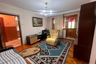 Apartament cu 2 camere semidecomandat, mobilat în Brazda lui Novac - 2