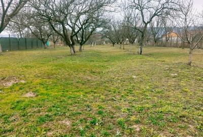 Casă cu 2 camere cu Teren 1983 Mp în Cândești - 9