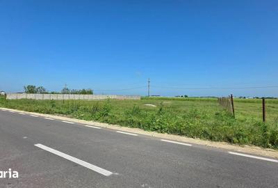 Teren de 2000 mp, în Topraisar - 3