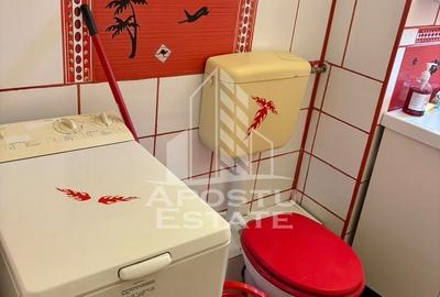 Apartament cu 3 camere semidecomandat, mobilat în Aradului - 9
