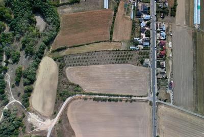 Vanzare teren 9654 mp, deschidere 27m, comuna Dobra, sat Dobra - 4