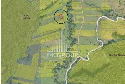 EXCLUSIVITATE!! Oportunitate Investitie! Teren Intravilan 500 mp,  Roata Faget - 2