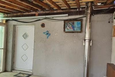 Casă cu Teren 2900 Mp în Trestia - 3
