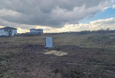 Teren de 612 mp, în Moșnița Nouă - 3