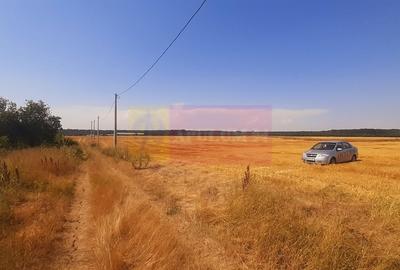 Teren pentru casa/case in Branesti pe strada Toporasi - 20