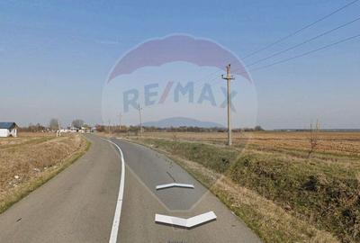 Teren intravilan - 2,5 ha/loc. Vizuresti, Dambovita,desch... - 10