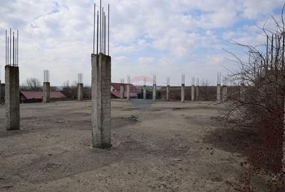 Teren Construcții intravilan de 6900 mp, în Șcheia - 16