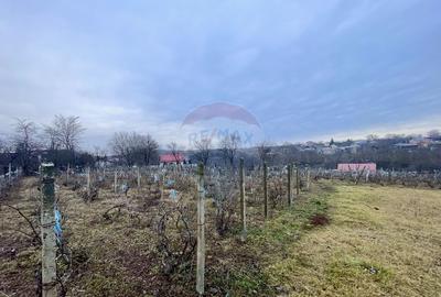 Casa cu teren Neicu/Panciu - 33