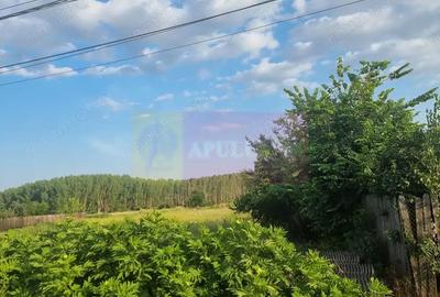 Teren de 4200 mp, în Teișori - 12