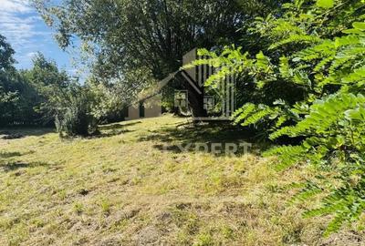 Teren de 3234 mp, în Lerești - 8