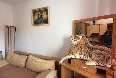 Apartament cu 3 camere în Cetate - 4