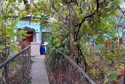 Vand Casa Caracal - 2