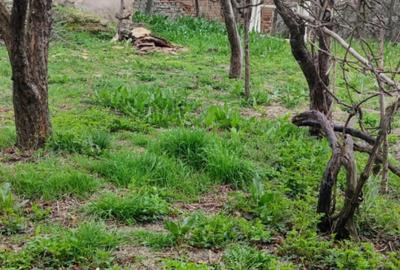 Casă cu 4 camere cu Teren 2000 Mp în Bujoreni - 8