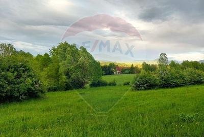 Teren Construcții intravilan de 4223 mp, în Tohănița - 10