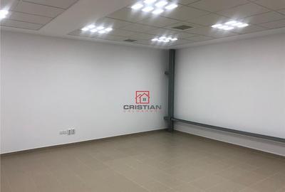 Depozit/hala/spatiu industrial Theodor Pallady - Drumul Int - 12