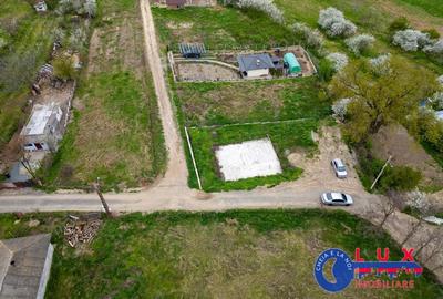 Teren de 500 mp, în Mineri - 6