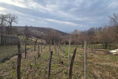 Casă cu 4 camere în Seciu - 6