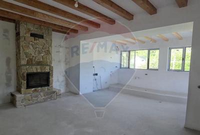 Casă cu 5 camere cu Teren 3400 Mp în Valea Voievozilor - 6