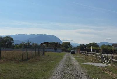 Teren de 1000 mp, în Glăjărie - 2