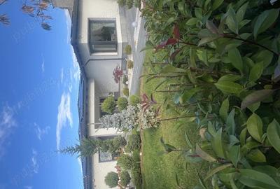 Casă cu 4 camere în Micălaca - 3