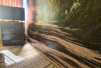 Apartament cu 2 camere semidecomandat în Nord