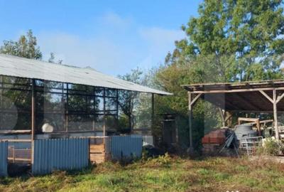 Casă cu 2 camere cu Teren 3200 Mp în Silagiu - 4