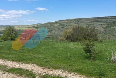 Teren Intravilan 16.000 Mp situat la DN-E81 Zalau-Cluj - 14