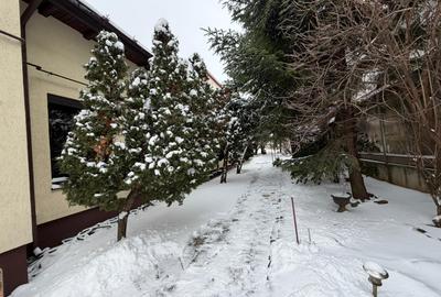 Casă individuală cu 4 camere cu Canalizare în Parcul Carol - 18