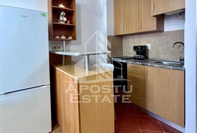 Apartament cu 2 camere în Șega - 9