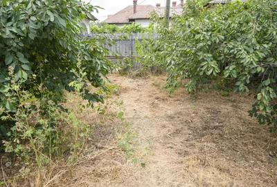 Spatiu de birou central parter casa, zona Piata Mare - 17