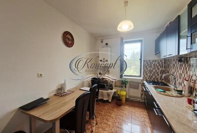 Apartament luminos, la cheie, in zona Transilvania College - 16