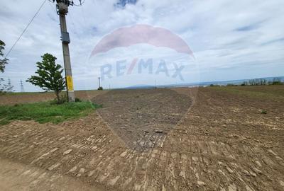 Teren agricol extravilan de 2475 mp, în Măgura - 2